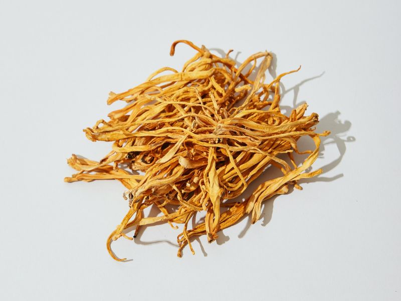 Kräutermedizin